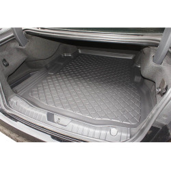 Guardliner Boot Liner