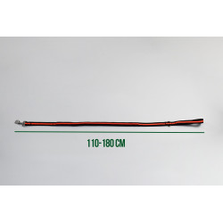 Laisse pour chien avec boucle de ceinture de sécurité