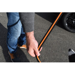 Laisse pour chien avec boucle de ceinture de sécurité