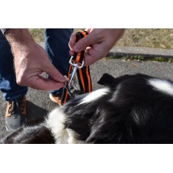 Hundefutter mit Sicherheitsgurt