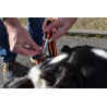 Hundefutter mit Sicherheitsgurt