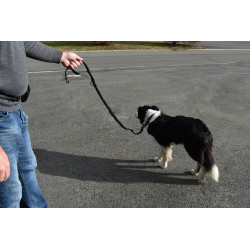 Running leash
