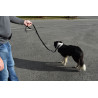 Running leash