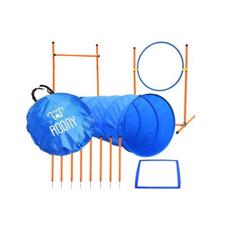 Agility training kit