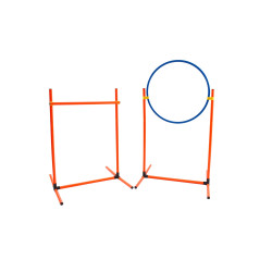 Agility training kit