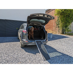 Rampe d'accès au coffre pour chiens pliable