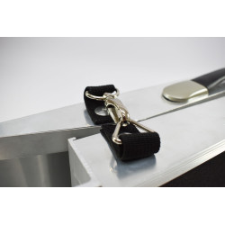 Rampe d'accès au coffre pour chiens pliable