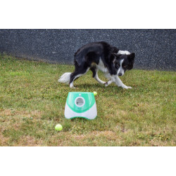 Lanceur de balles automatique pour chiens - 3, 6 et 9 mètres