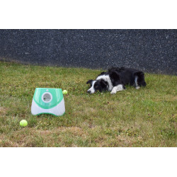 Lanceur de balles automatique pour chiens - 3, 6 et 9 mètres
