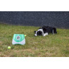 Lanceur de balles automatique pour chiens - 3, 6 et 9 mètres