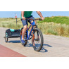 REMOLQUE DE BICICLETA BACHEE