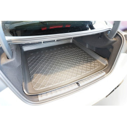 Guardliner Boot Liner