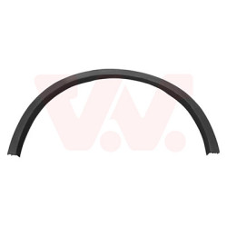 Moulure passage roue arrière gauche noir