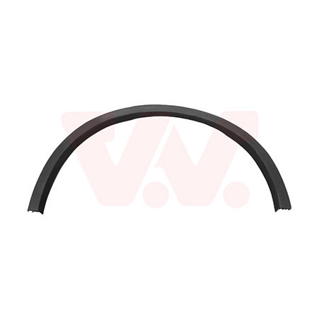 Moulure passage roue arrière gauche noir