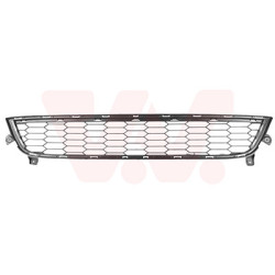 Grille prise d'air inférieure stepway