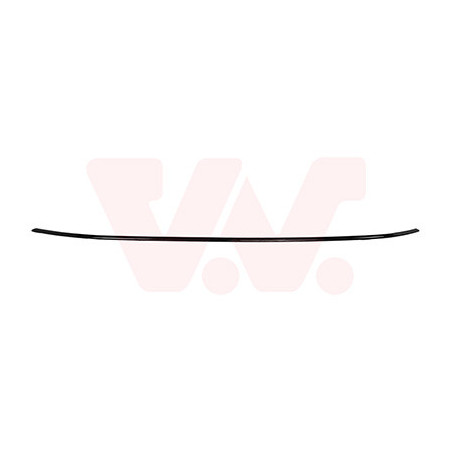 Moulure centrale de pare-choc avant noir