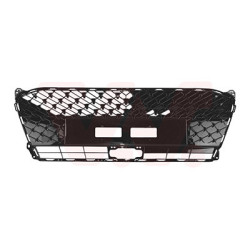 Grille calandre sans trous pour parkcontrol  a.b.