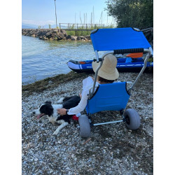 Carro Asiento de playa