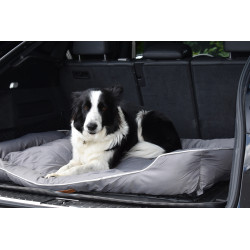 Cesta para perros tipo cama de baúl