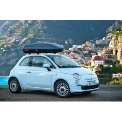 Coffre de toit carbone look assemblé 320L (133*78*34 cm)