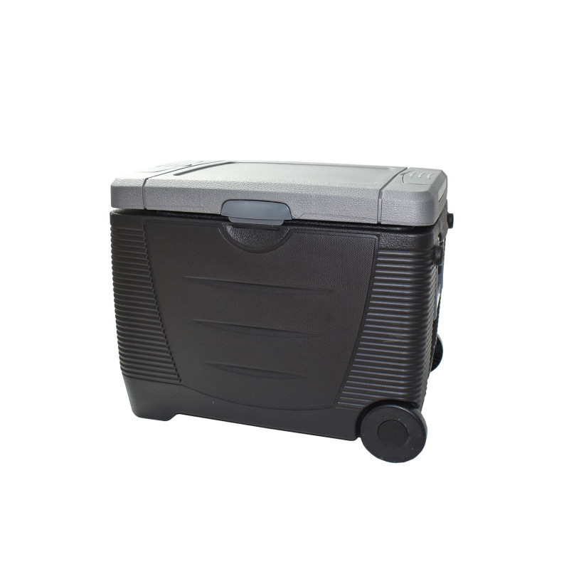 Glacière trolley chaud/froid bi-energie 45L 12/230V