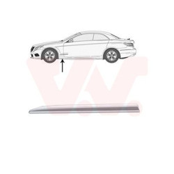 Moulure aile avant gauche