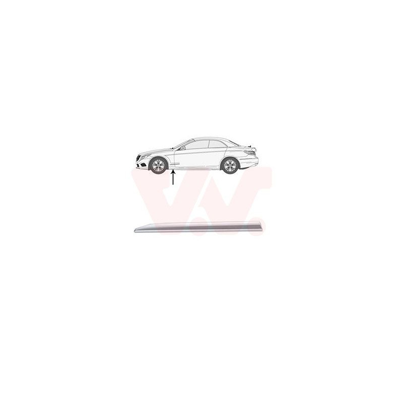 Moulure aile avant gauche