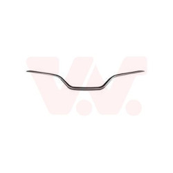 Moulure centrale pare-choc avant