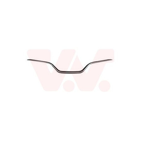 Moulure centrale pare-choc avant