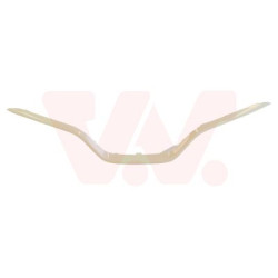 Moulure centrale pare-choc avant