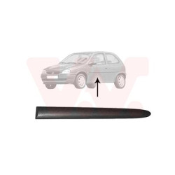 Moulure aile arrière gauche (pour véhicule 2-3 portes)