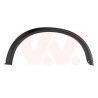 Moulure passage roue arrière gauche