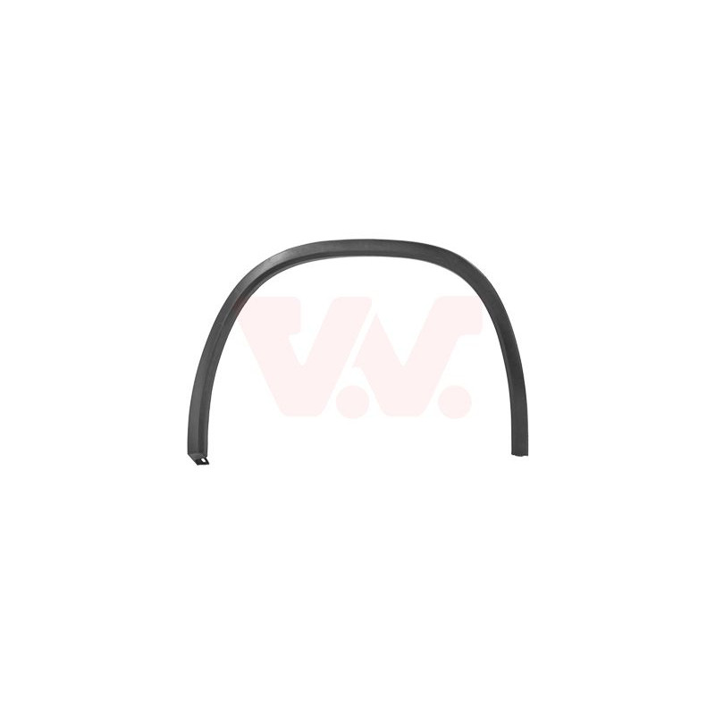 Moulure passage roue arrière gauche