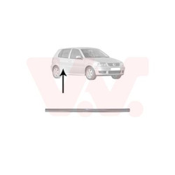 Moulure porte arrière droite