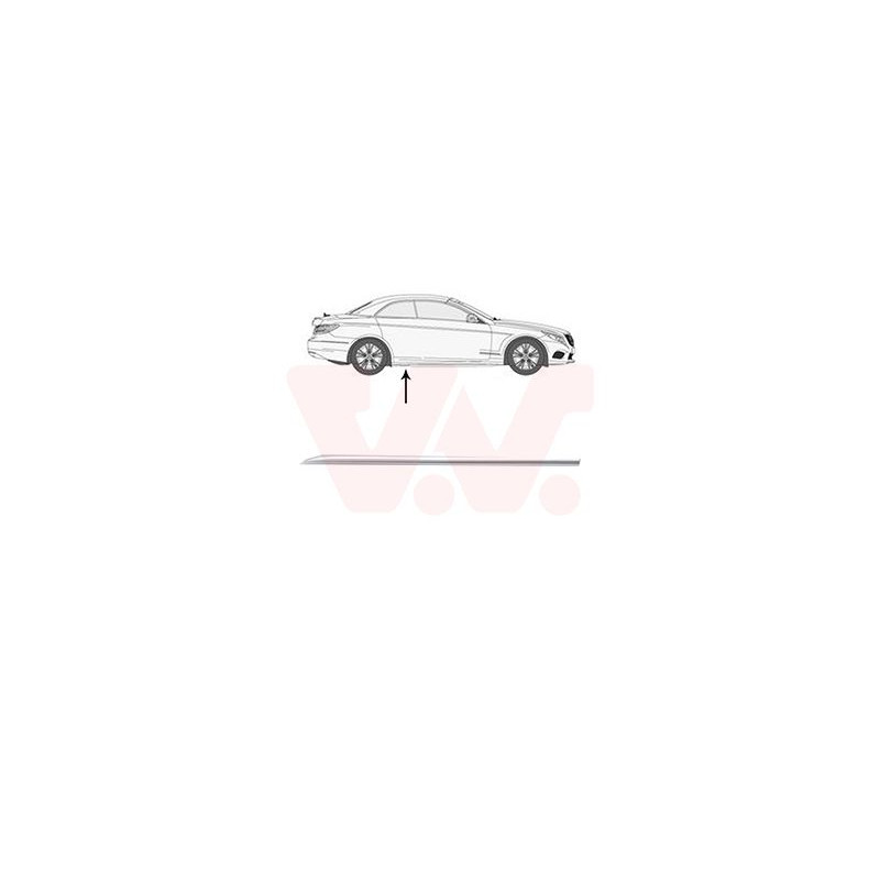 Moulure porte arrière droite