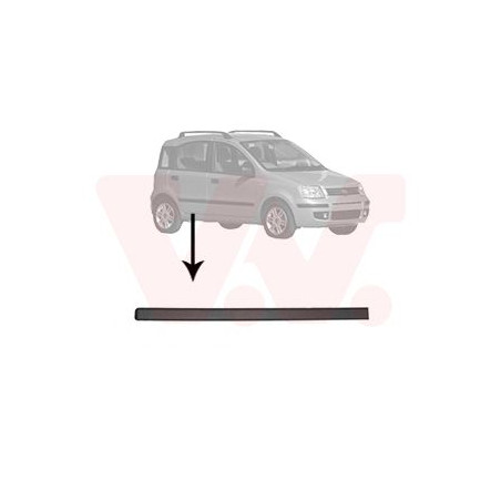 Moulure porte arrière droite