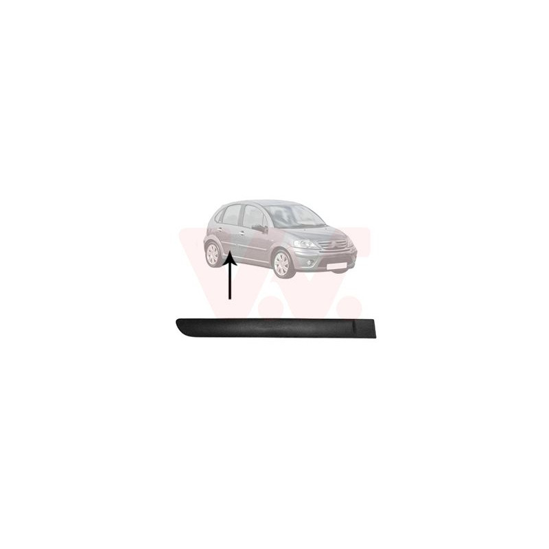 Moulure porte arrière droite