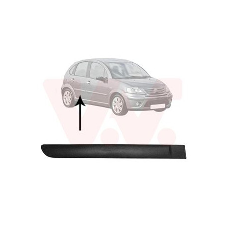 Moulure porte arrière droite