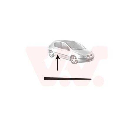 Moulure porte arrière droite