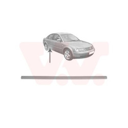 Moulure porte arrière droite