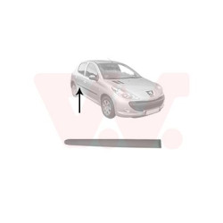 Moulure porte arrière droite