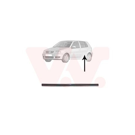 Moulure porte arrière gauche