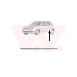 Moulure porte arrière gauche