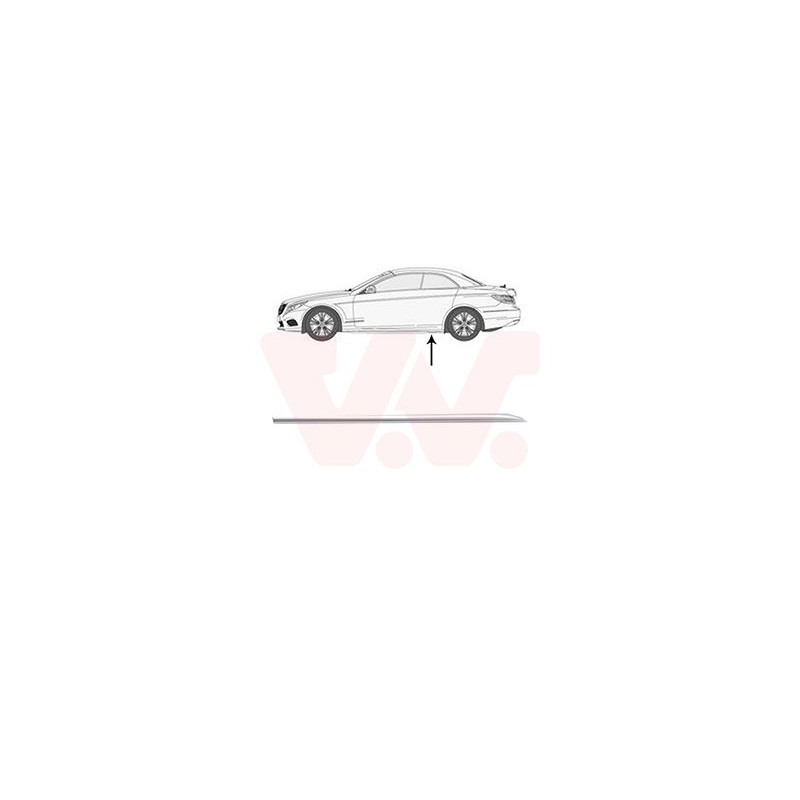 Moulure porte arrière gauche