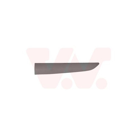 Moulure porte arrière gauche