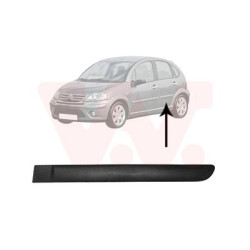 Moulure porte arrière gauche