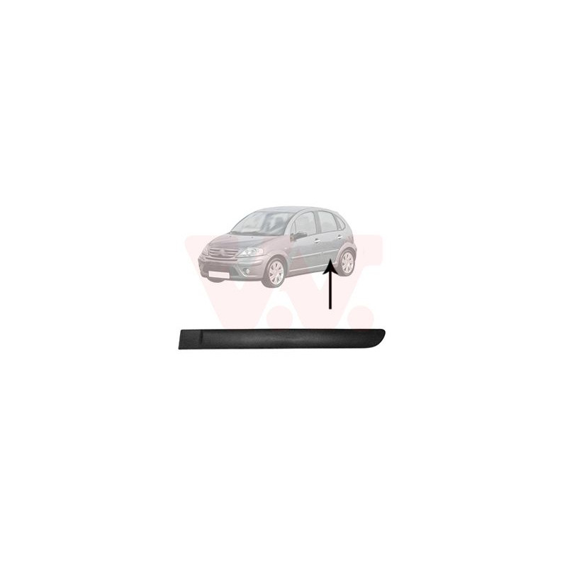 Moulure porte arrière gauche