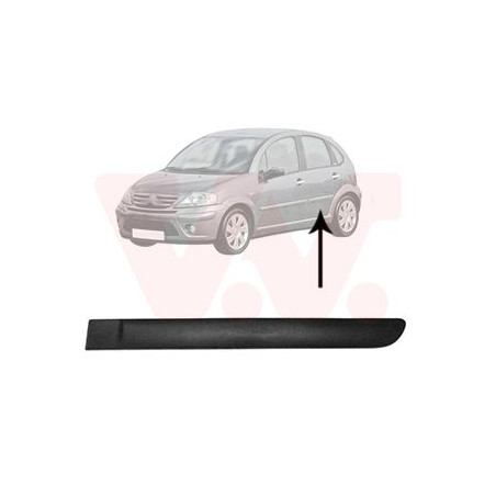 Moulure porte arrière gauche