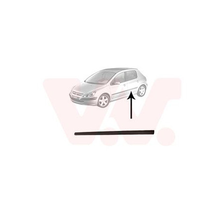 Moulure porte arrière gauche