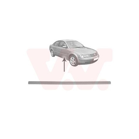 Moulure porte avant droite